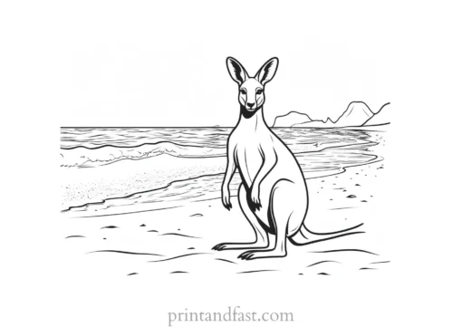 beach kangaroo coloring page