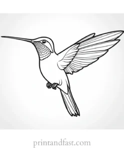 beautiful Hummingbird Coloring Page