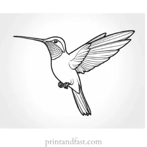 beautiful Hummingbird Coloring Page