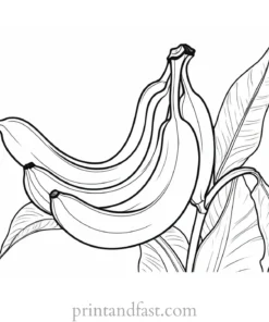 botanical banana coloring page