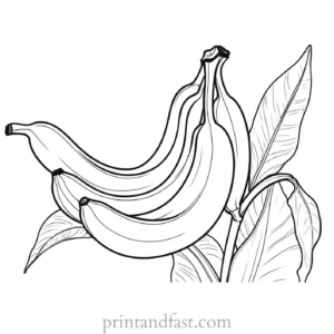 botanical banana coloring page