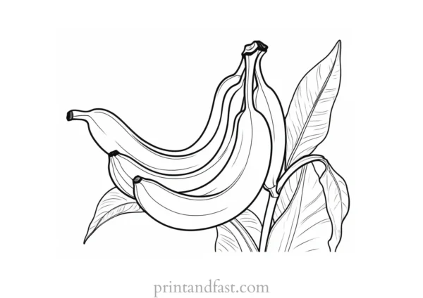 botanical banana coloring page