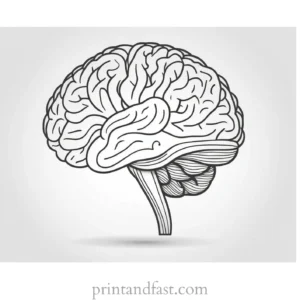 brain coloring page activity