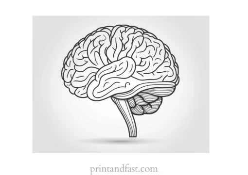 brain coloring page activity