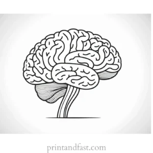 brain coloring page cartoon