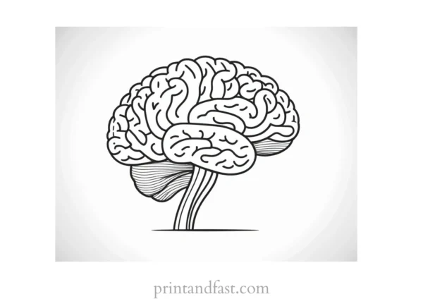 brain coloring page cartoon