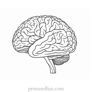 brain coloring page creative