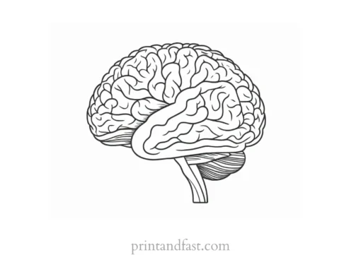 brain coloring page creative