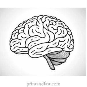 brain coloring page easy