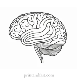 brain coloring page for psychology