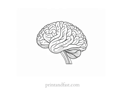 brain coloring page for science class