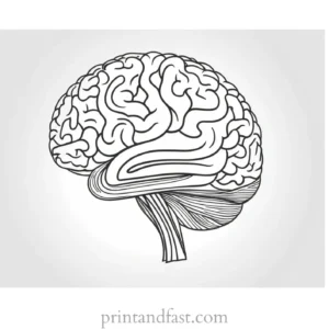 brain coloring page free