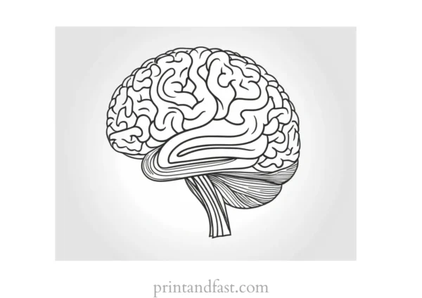 brain coloring page free