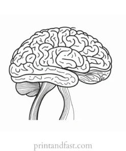 brain coloring page pdf