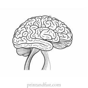 brain coloring page pdf