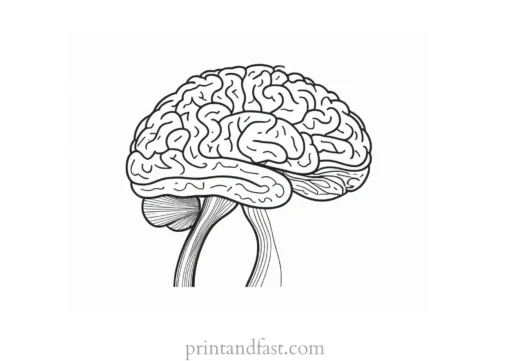 brain coloring page pdf