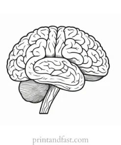 brain coloring page printable