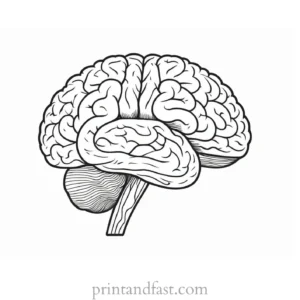 brain coloring page printable