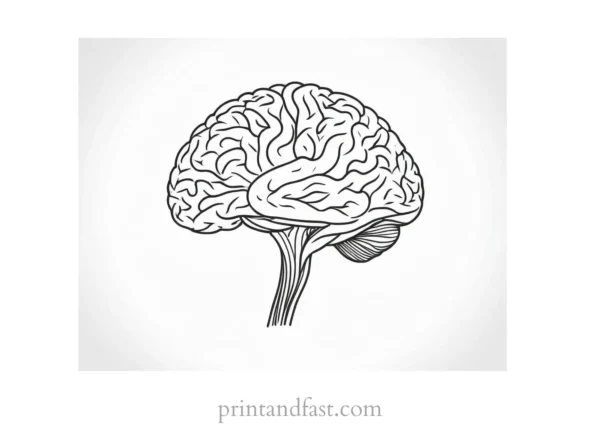 brain coloring page realistic