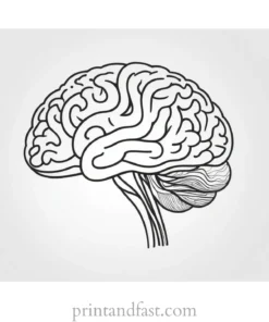 brain coloring page simple