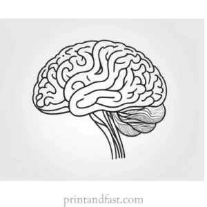 brain coloring page simple