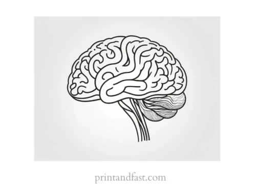 brain coloring page simple