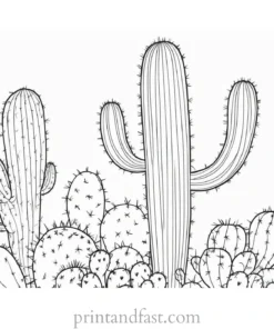 cactus Coloring Page for Kids