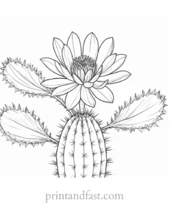 cactus Flower Coloring Page