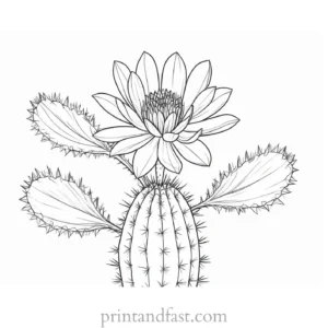 cactus Flower Coloring Page