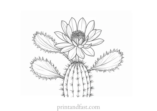 cactus Flower Coloring Page