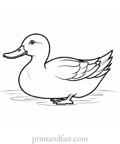 cartoon duck coloring page