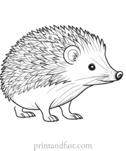 cartoon hedgehog coloring page