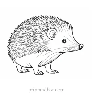 cartoon hedgehog coloring page