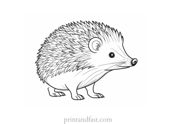 cartoon hedgehog coloring page