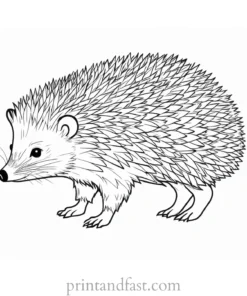 challenging hedgehog coloring page