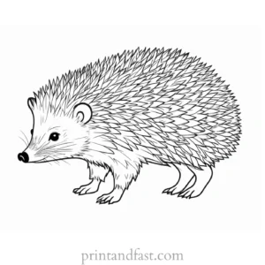 challenging hedgehog coloring page