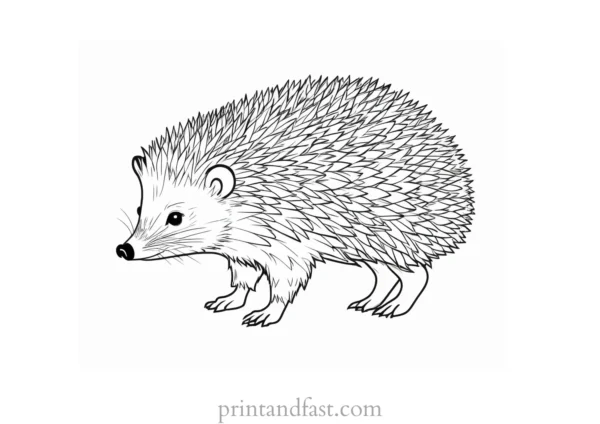 challenging hedgehog coloring page