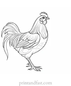 chicken coloring page activity