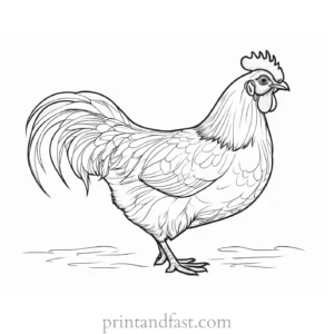 chicken coloring page artwork