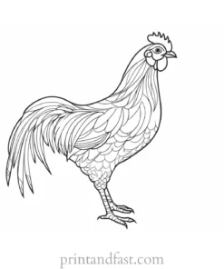 chicken coloring page creation