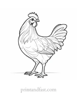 chicken coloring page design