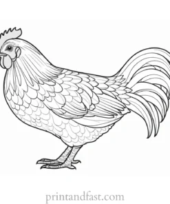 chicken coloring page for adults