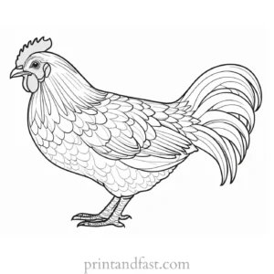 chicken coloring page for adults