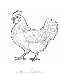 chicken coloring page for kids