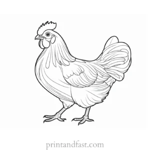 chicken coloring page for kids