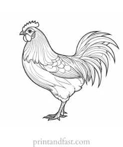 chicken coloring page inspiration