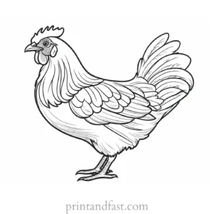 chicken coloring page picture