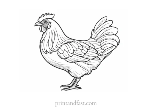 chicken coloring page picture