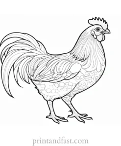 chicken coloring page printable