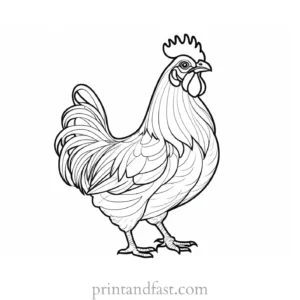 chicken coloring page project